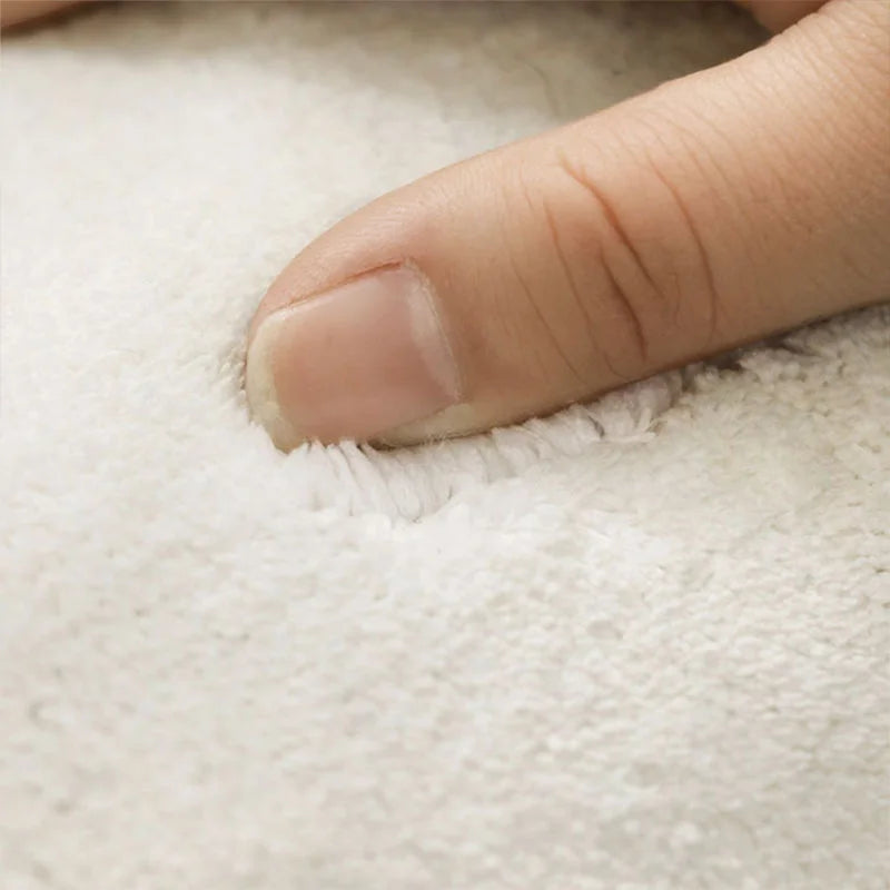 tapis de salon moderne