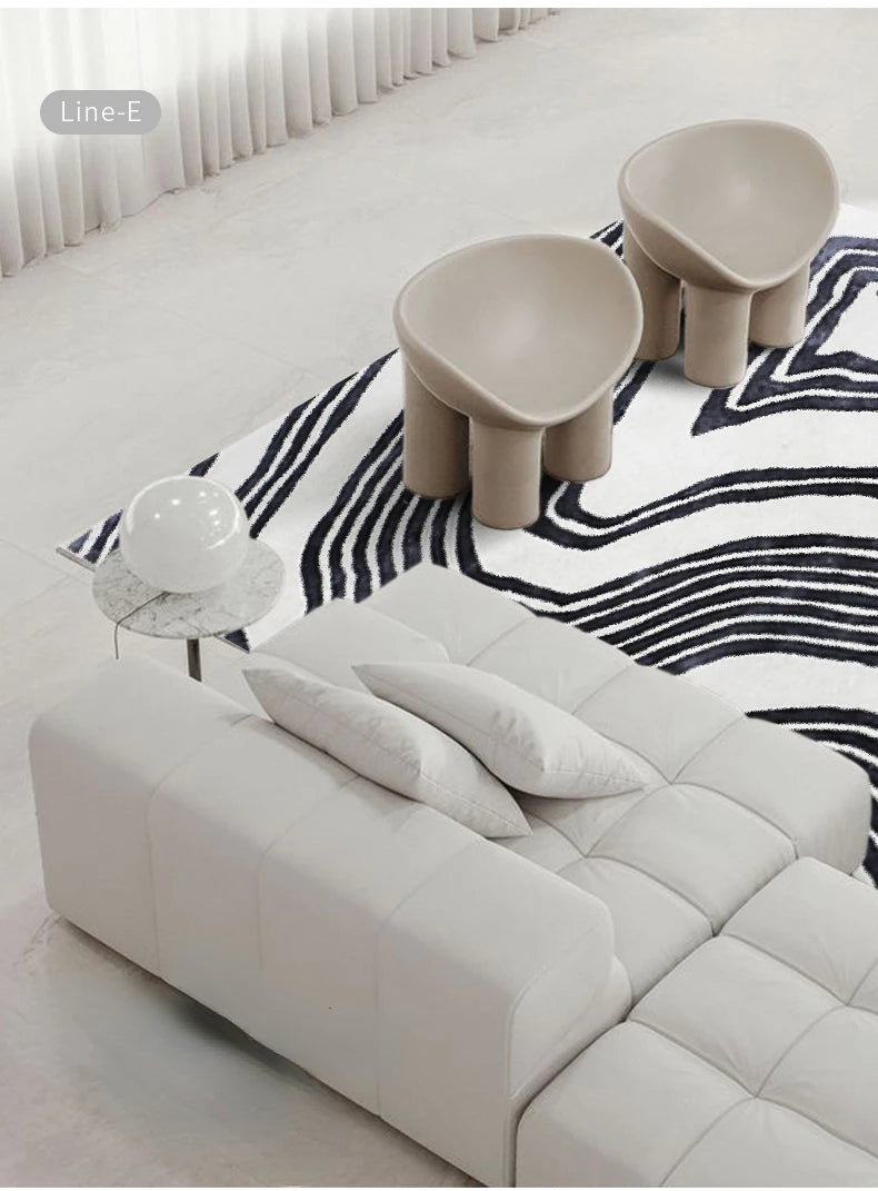 tapis maison moderne