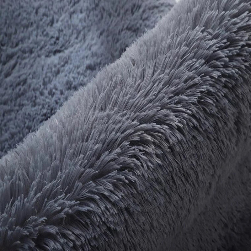 tapis moderne 160x230