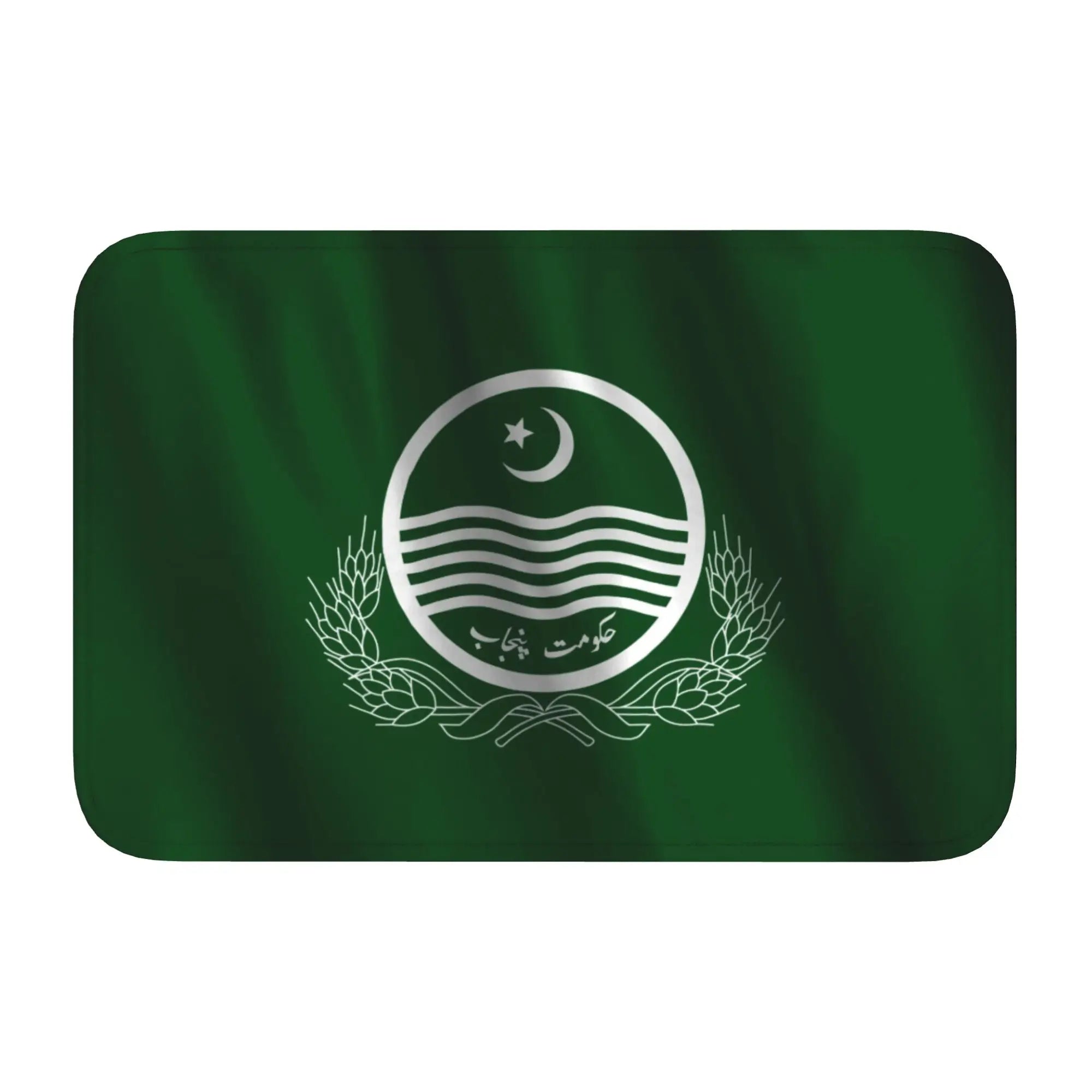 tapis pakistan moderne